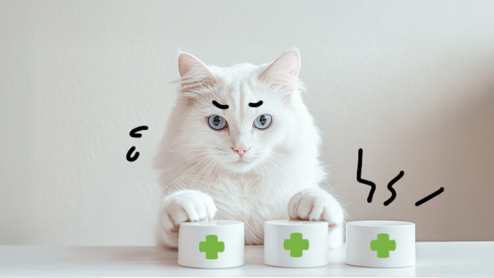 サプリメントが多すぎて、費用もかかりすぎ!どうすればコストを削減できますか?