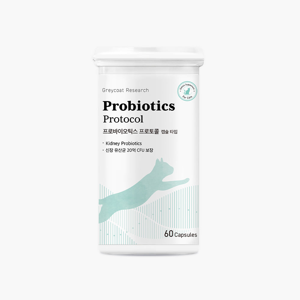 Greycoat Research Probiotics Protocol for Cats – Supports gut health and toxin elimination