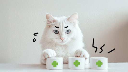 Too Many Supplements, Too Many Expenses! How Can I Cut Costs?