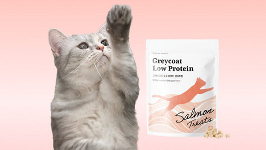 New Launch: Low Protein Salmon Treat for CKD Cats