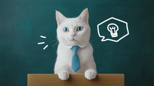 Can Feline Kidney Disease Be Prevented?