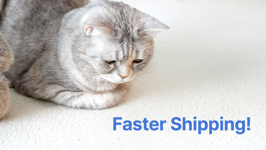 Greycoat Research implements automated system for faster shipping