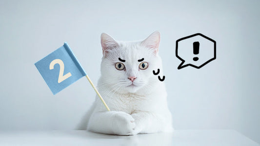 Guide to Feline CKD Care - Stage 2