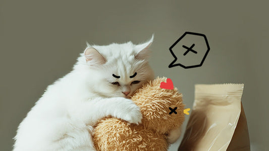 My Cat Used to Be on a Raw Food Diet and Won't Eat Renal Food! Help