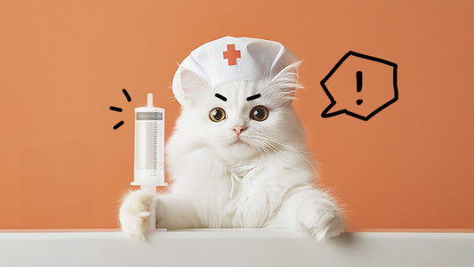 A nurse cat making sure everything is in order to administer subcutaneous fluids for kidney disease. By Greycoat Research.