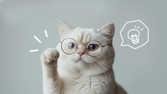 A cat with glasses tries to understand probiotics. By Greycoat Research.