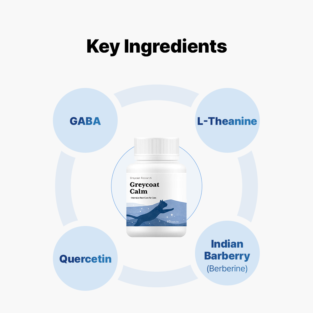 グレイコートカーム