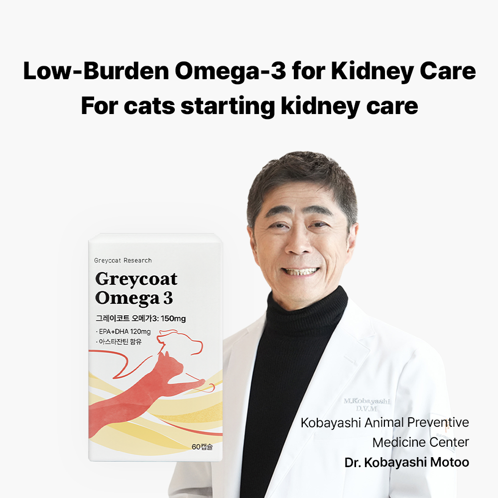 グレイコートオメガ-3