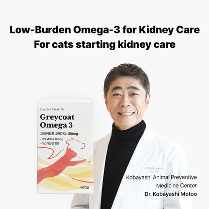 グレイコートオメガ-3