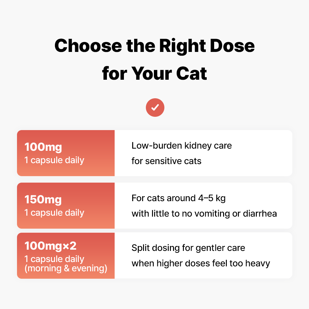 グレイコートオメガ-3