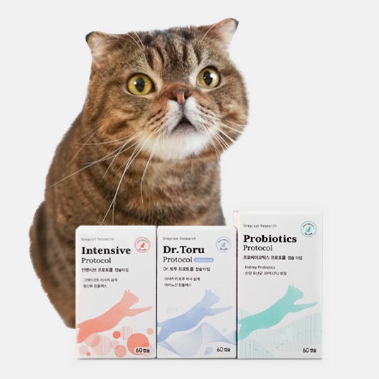 腎臓ケア・トータルサポートセット