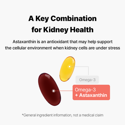 グレイコートオメガ-3