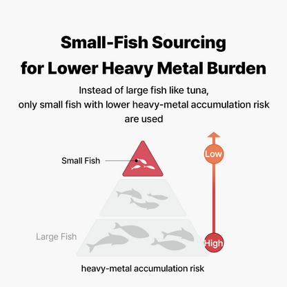 グレイコートオメガ-3