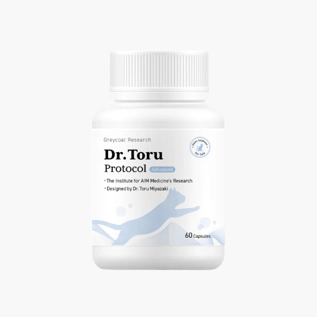 Dr. Toru Protocol cat kidney disease supplement for renal health support