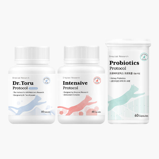 Greycoat Research Kidney Care Supplement Set for Cats – Includes Dr. Toru Protocol, Intensive Protocol, and Probiotics for kidney support